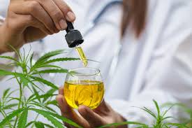 Cannabis Oil - producent - zamiennik - ulotka