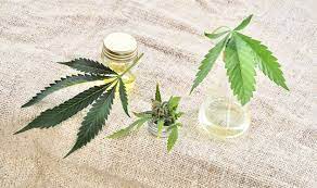 cannabis-oil-plafar-farmacia-tei-dr-max-catena